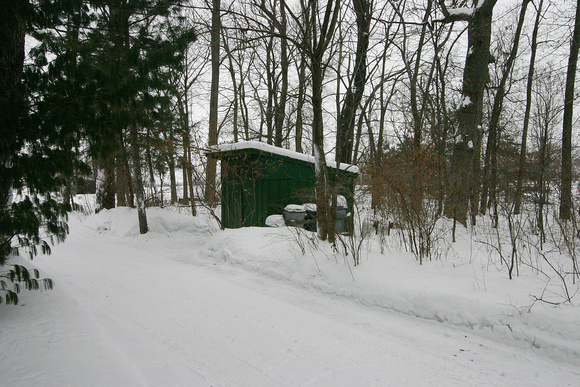 Driveway and Garden Shed