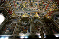 Duomo Library